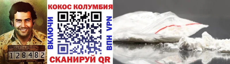 COCAIN Fish Scale  Галич 