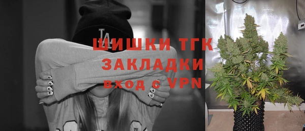 молекула духа Балахна