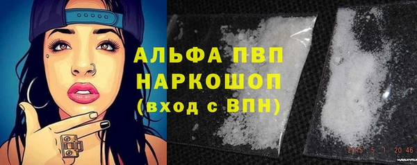 молекула духа Балахна