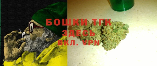 молекула духа Балахна